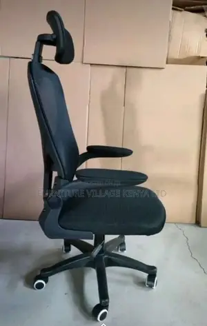 Office Chair:Orthopedic Seat With Stylish Padded Arm Support