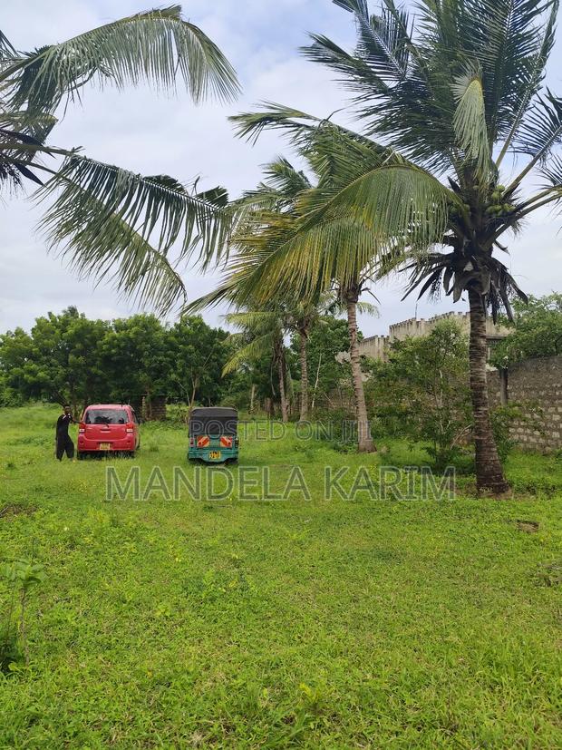 1/8 Acre Plots for Sale Land Vipingo