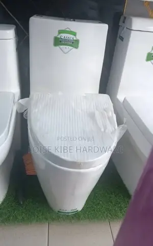 Top Flush Sawa Toilet Available