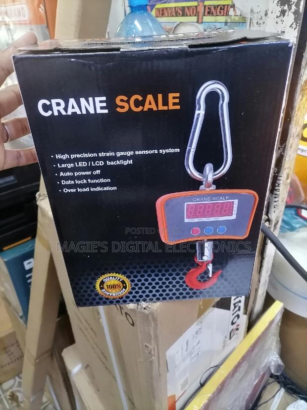 Heavy Duty 500kg Crane Scale - main view