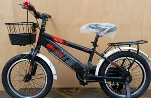 Brand New Luta Bykes Size 20 With Classic Spokes