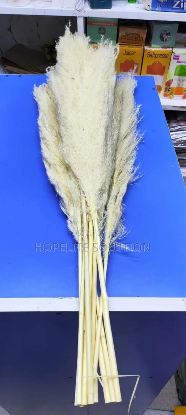 Big Fluffy Pampers Grass - thumbnail 2