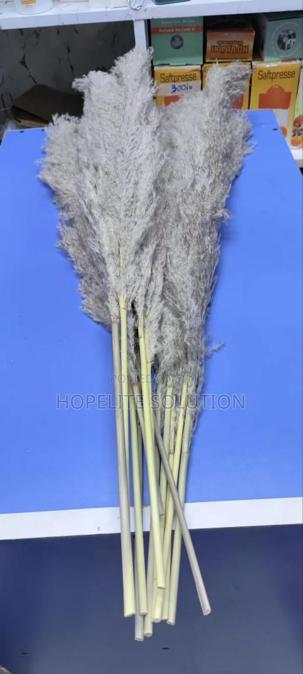 Big Fluffy Pampers Grass - thumbnail 4