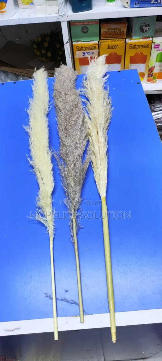 Big Fluffy Pampers Grass - thumbnail 5