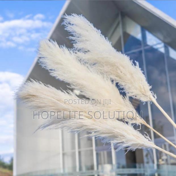 Big Fluffy Pampers Grass - thumbnail 6