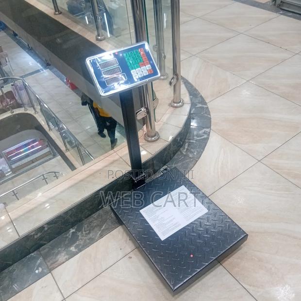 Portable 300kg Digital Weighing Platform - main view