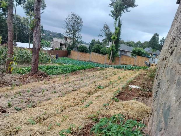 100 by 100 Plot Ngong Lemiso Rd for Sale Gated Community - thumbnail 3