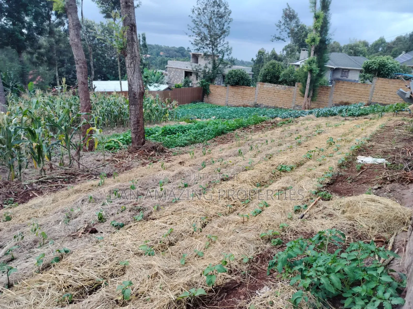 100 by 100 Plot Ngong Lemiso Rd for Sale Gated Community