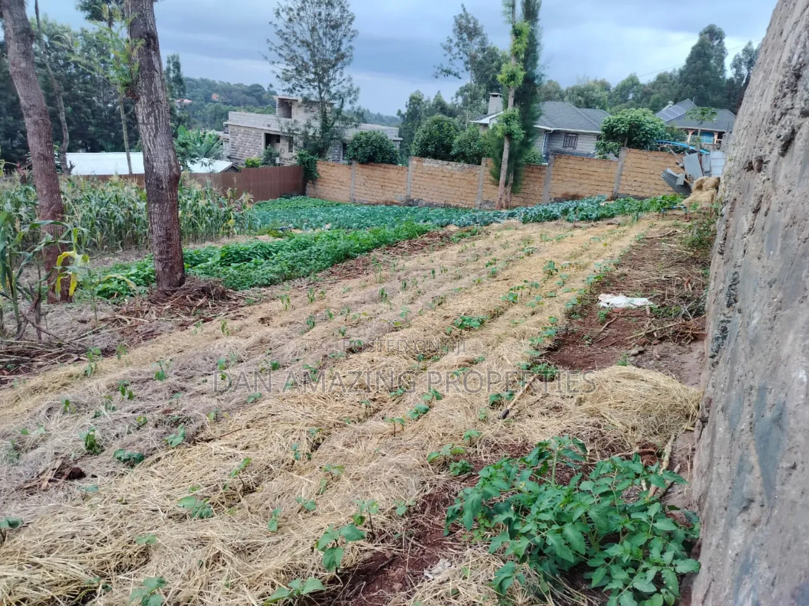 100 by 100 Plot Ngong Lemiso Rd for Sale Gated Community