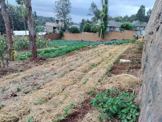 100 by 100 Plot Ngong Lemiso Rd for Sale Gated Community - thumbnail 5