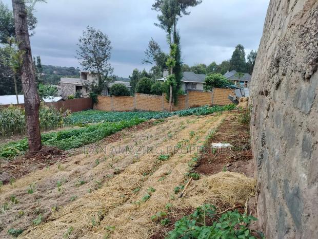 100 by 100 Plot Ngong Lemiso Rd for Sale Gated Community - thumbnail 6