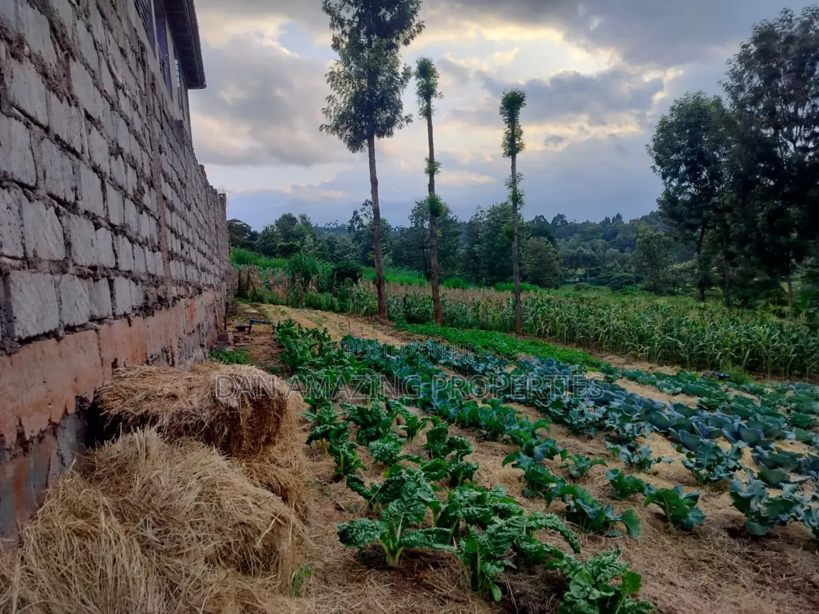 100 by 100 Plot Ngong Lemiso Rd for Sale Gated Community