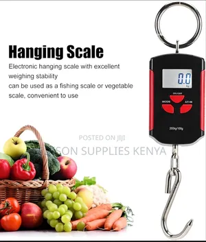 Crane Scale 200kgs Digital Hanging Weighing Scale Commercial