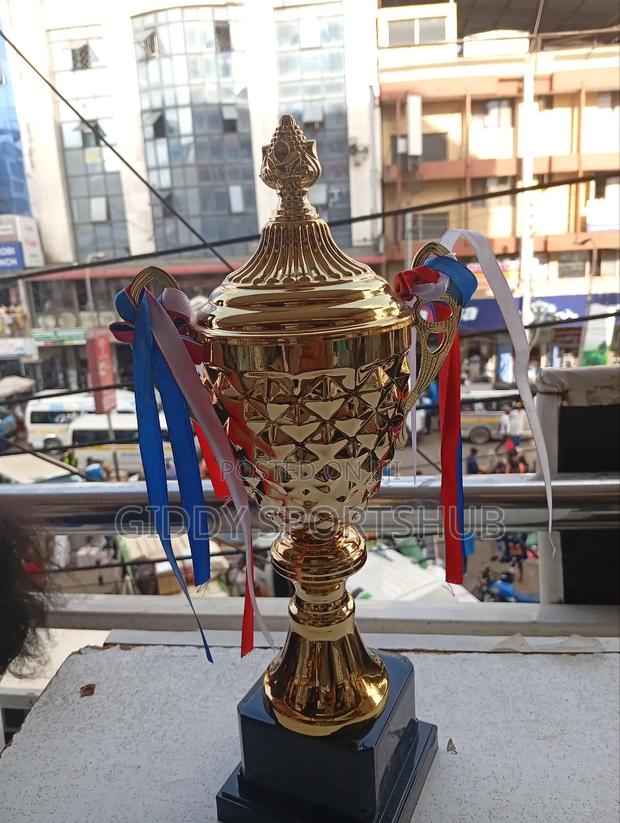 Trophies and Award - thumbnail 2