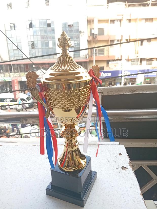 Trophies and Award - thumbnail 3