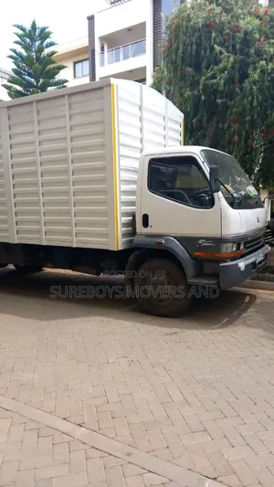 We Offer Professional Movers and Relocation in Ruiru Town