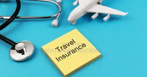 Visa Processing