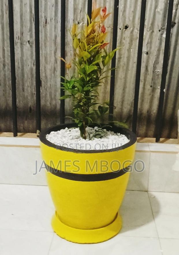 Flower Vases - thumbnail 5