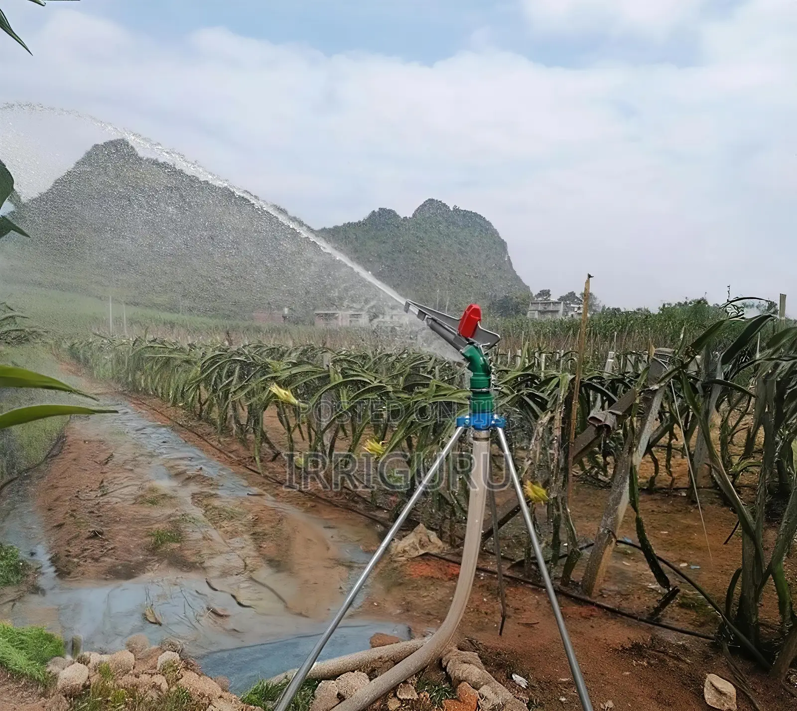 Py50 Type Farmland Irrigation Rain Sprinkler, Aluminum Alloy