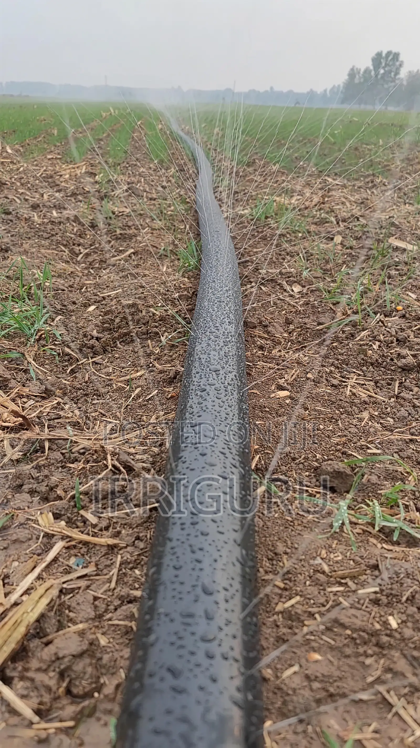 Design of 5-Hole Inclined Outlet for 28mm Rainwater Belt
