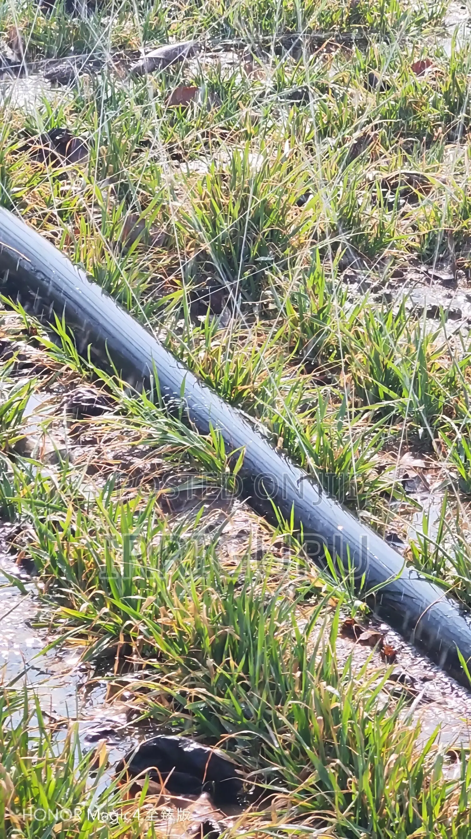 Design of 5-Hole Inclined Outlet for 28mm Rainwater Belt