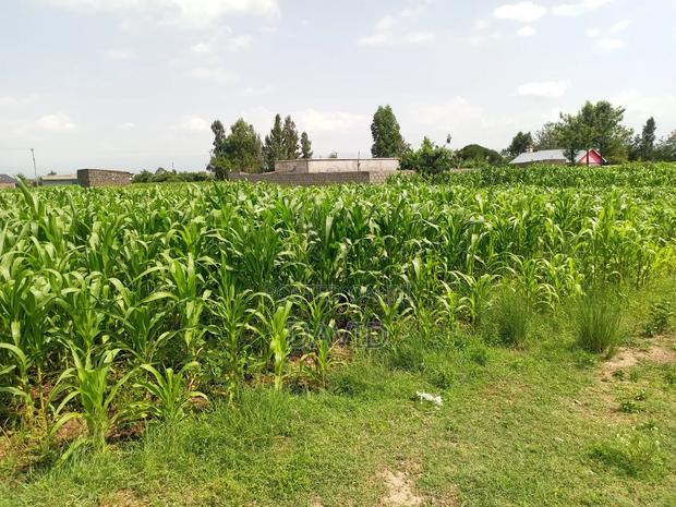 Plot for Sale in Destiny Mzee Wanyama - thumbnail 2
