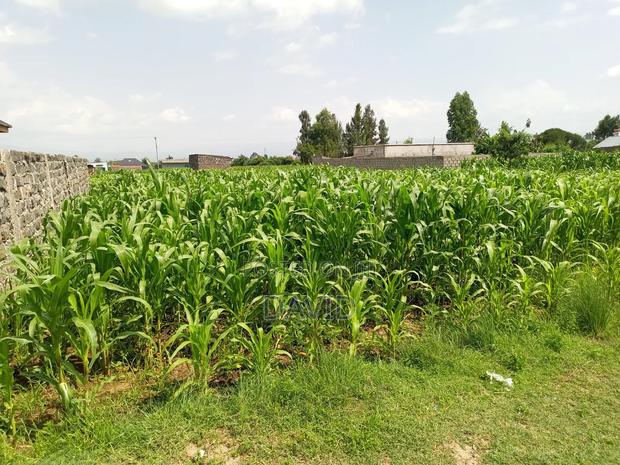 Plot for Sale in Destiny Mzee Wanyama - thumbnail 3