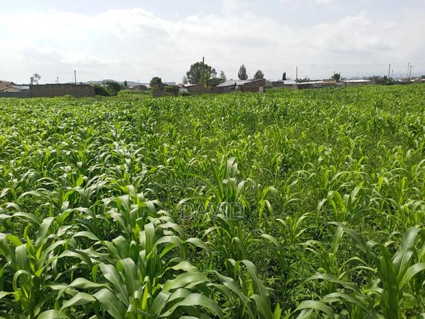 Plot for Sale in Destiny Mzee Wanyama - thumbnail 5