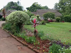 Village Market Trio Estate