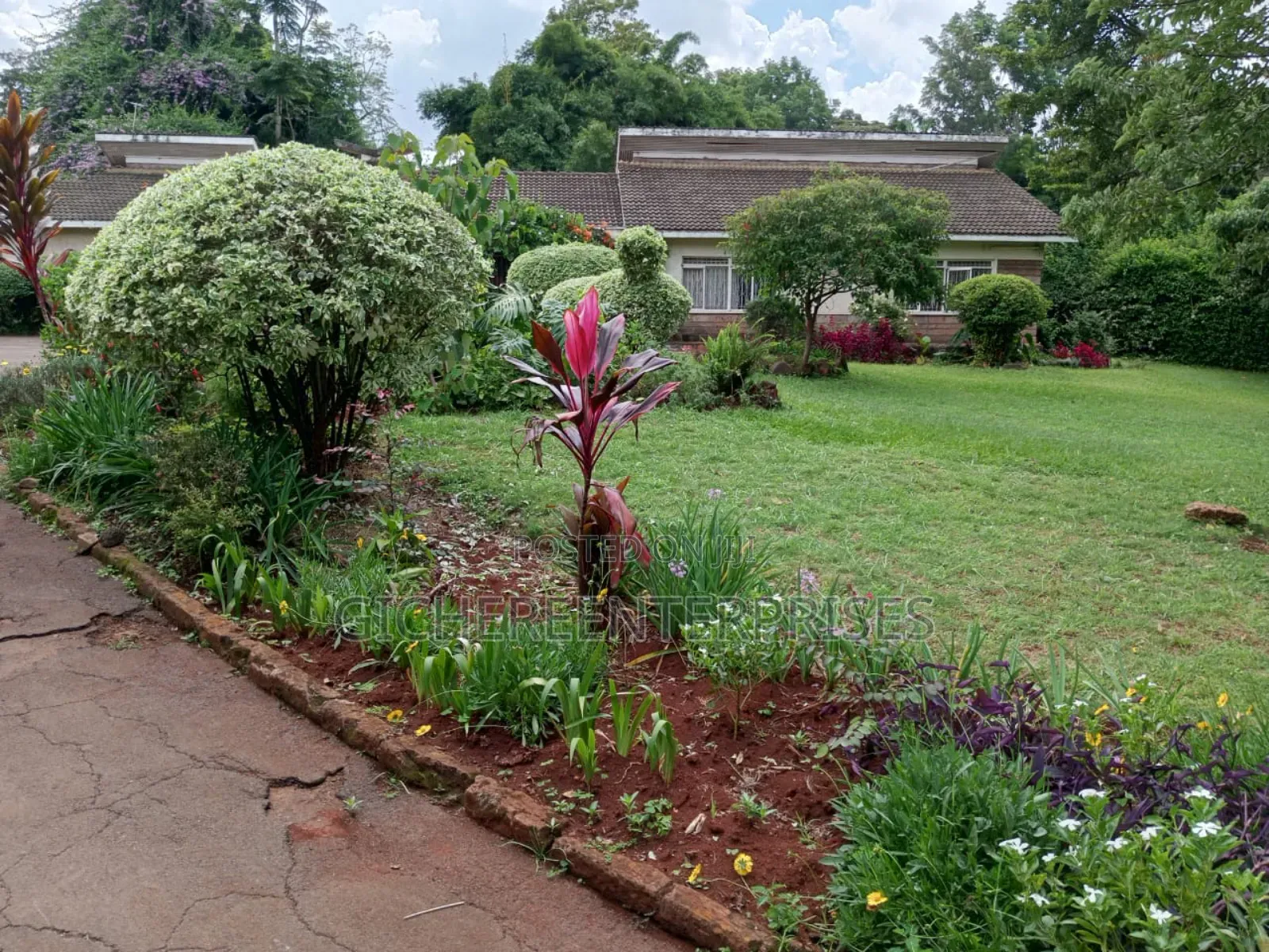 Village Market Trio Estate