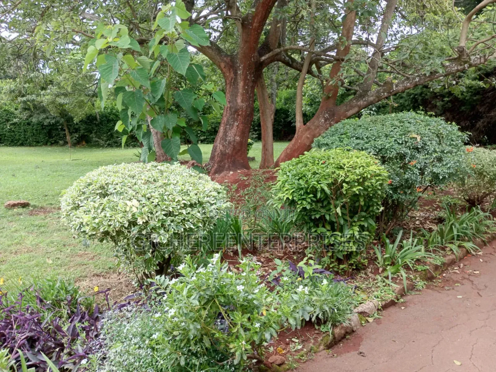Village Market Trio Estate