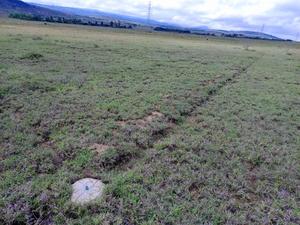 50*100 Plot for Sale in Mirera, Naivasha - main view