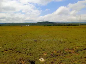 50*100 Plot for Sale in Mirera, Naivasha