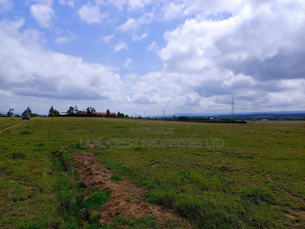50*100 Plot for Sale in Mirera, Naivasha - thumbnail 7