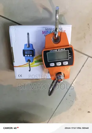 300kg Hanging Scale