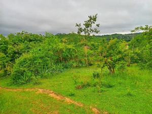 1 Acre for Sale in Kambiti - main view