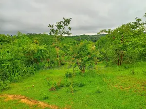 1 Acre for Sale in Kambiti