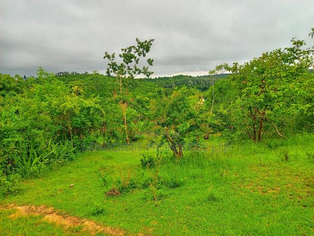 1 Acre for Sale in Kambiti - thumbnail 2