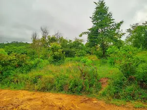1 Acre for Sale in Kambiti