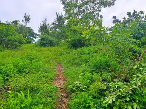 1 Acre for Sale in Kambiti