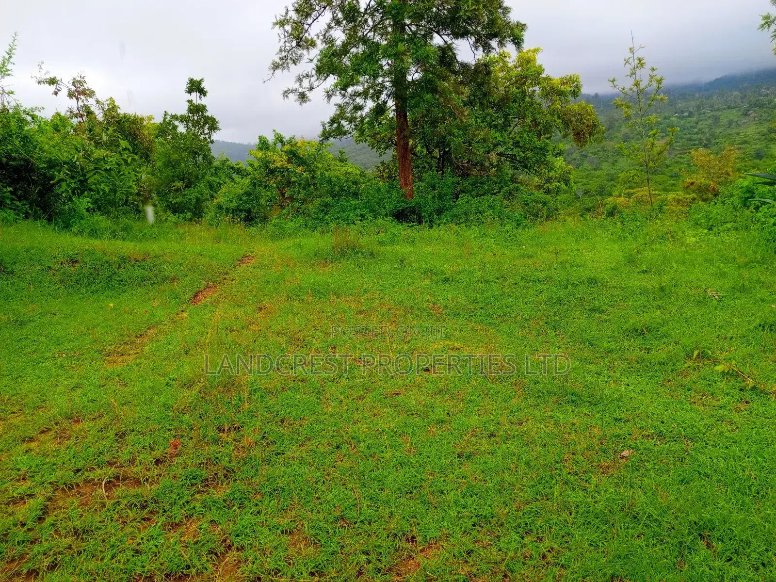 1 Acre for Sale in Kambiti