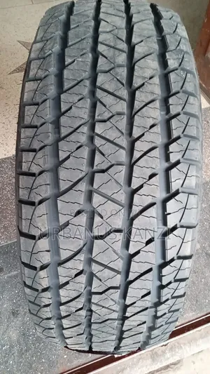 265/60r18 Tyre