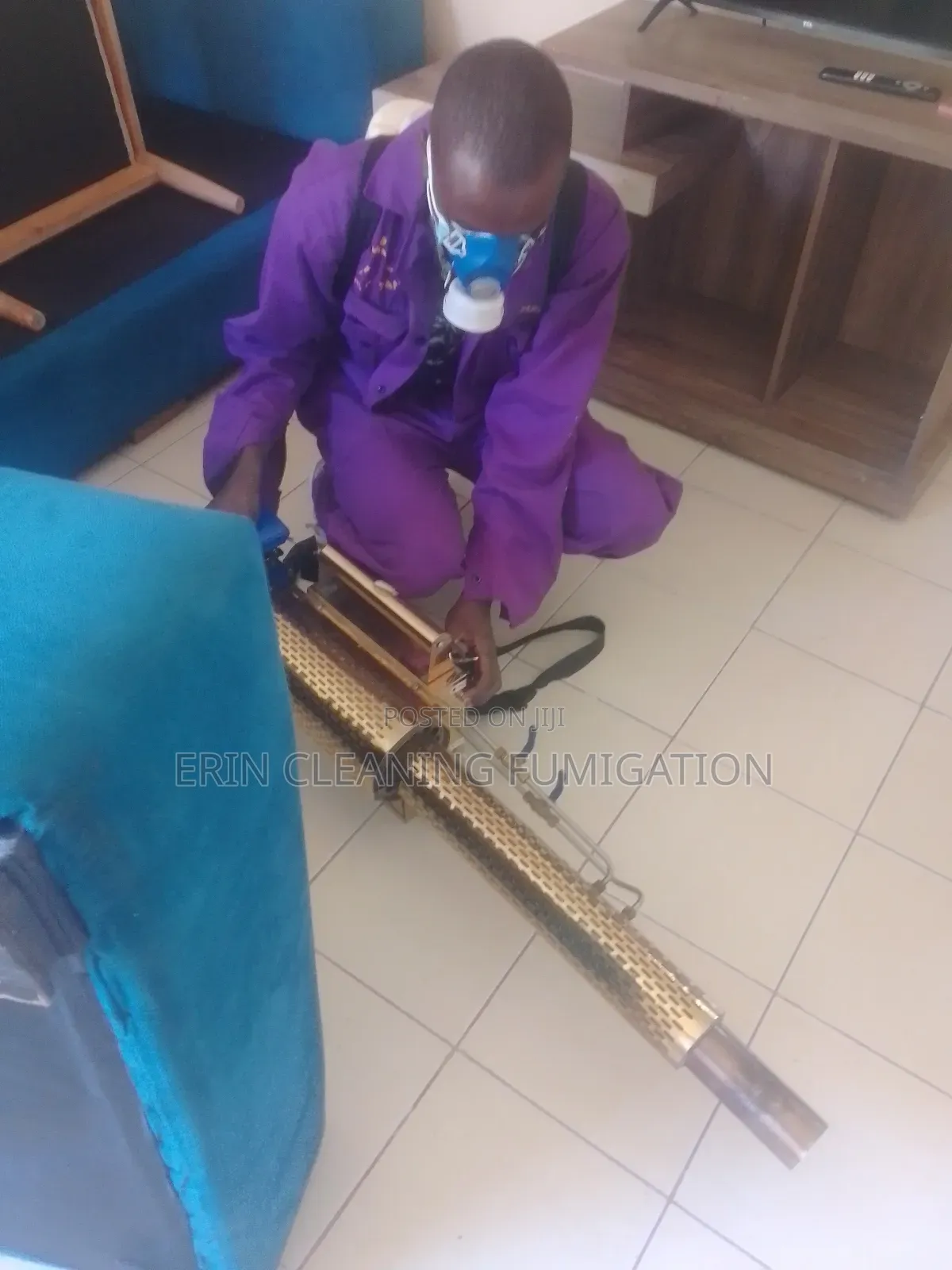 Fogging Services for Cockroaches