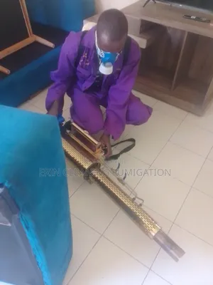 Fogging Services for Cockroaches