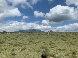 5 Plots Left in Longonot View Phase 5,