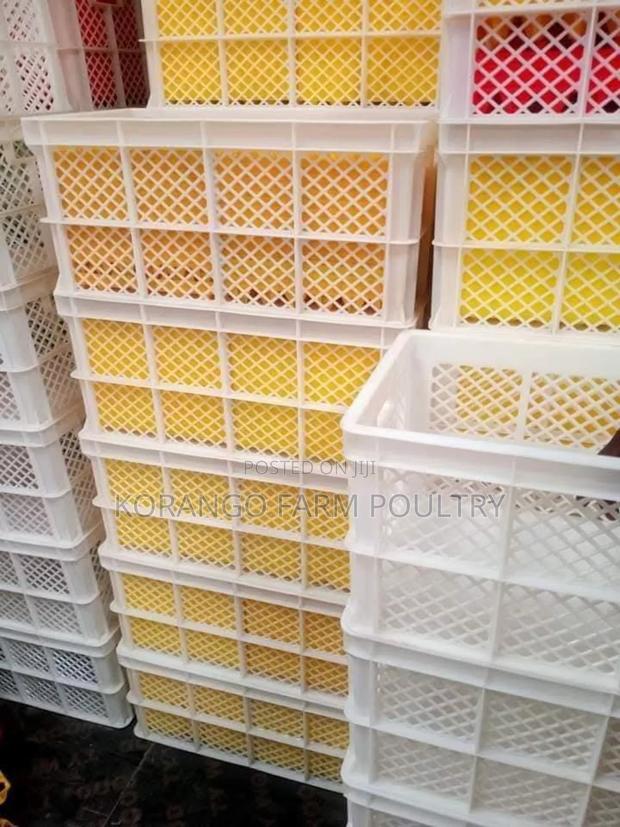 Eggs Transport Crates - thumbnail 2