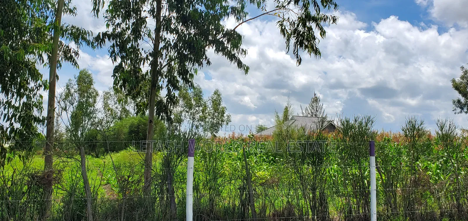 Going for 1.6 Million in Installments, Kitengela Plains 2