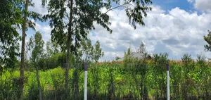 Going for 1.6 Million in Installments, Kitengela Plains 2