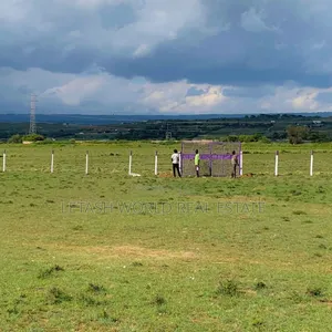 Phase 5 of Longonot View, Plots Measuring 50 by 100ft