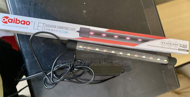 Boost Aquarium Aesthetics With Led Lighting - main view